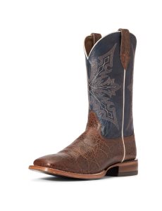 Bottes Western Ariat Circuit Gritty Multicolore | 740985TKO