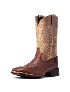 Bottes Western Ariat Night Life Ultra Multicolore | 541978DLU