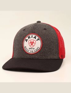 Casquettes Ariat Round logo patch Grise | 359482VSL