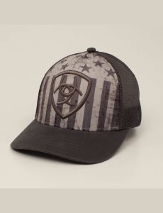 Casquettes Ariat Shield embossed Grise | 925670EDQ