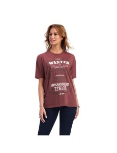 Hauts Ariat Wanted Tee Multicolore | 758602UDE