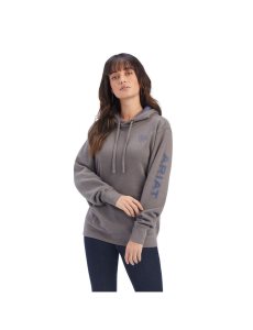 Sweat À Capuche Ariat REAL Arm Logo Grise | 534297QDS