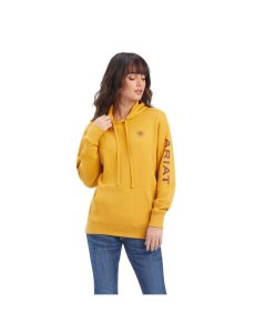 Sweat À Capuche Ariat REAL Classiche Arm Logo Doré | 024638KDZ