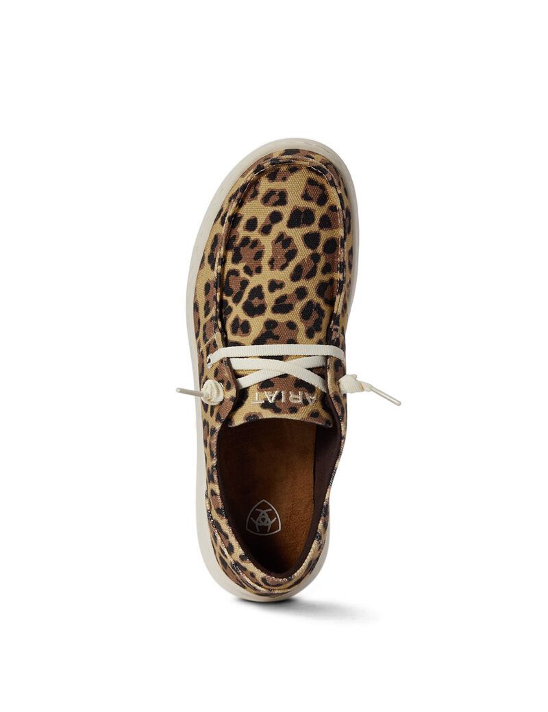 Baskets Ariat Hilo Leopard | 890732RXK