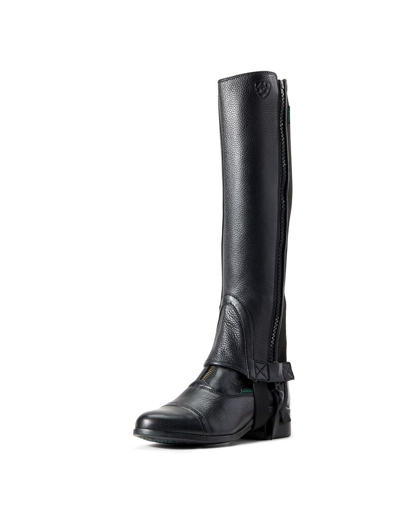 Bottes D'équitation Ariat Breeze Chap Half Chap Noir | 369015HYF