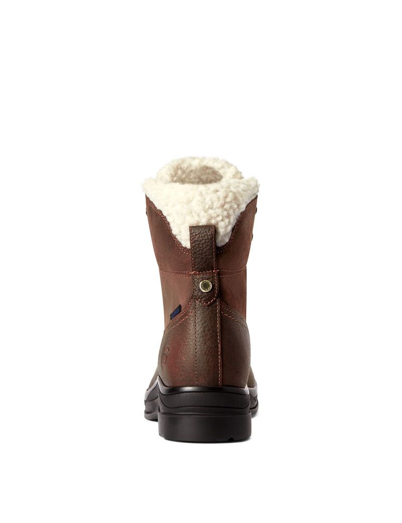 Bottes D'équitation Ariat Harper Imperméables Marron Foncé | 921038ZTR