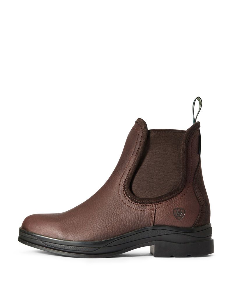 Bottes D'équitation Ariat Keswick Imperméables Marron Foncé | 921478KPG