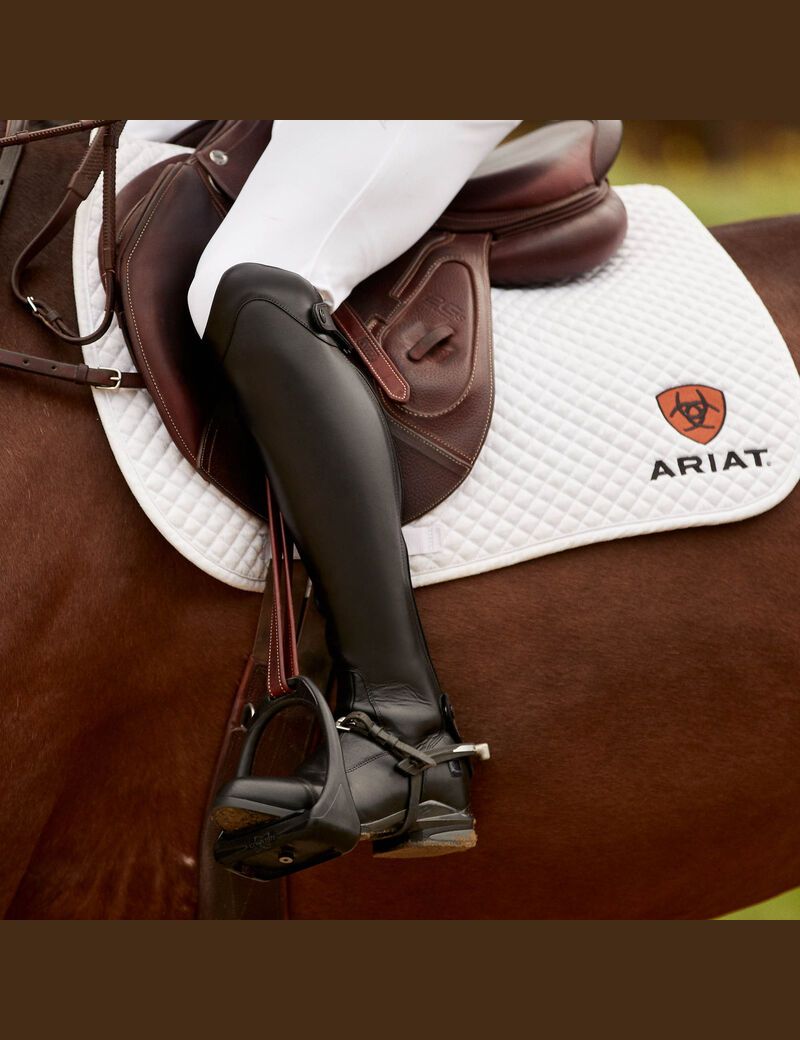 Bottes D'équitation Ariat Nitro Max Alti Noir | 015649HFR