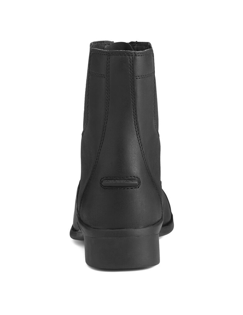 Bottes D'équitation Ariat Scout Zip Paddock Noir | 891647AFO