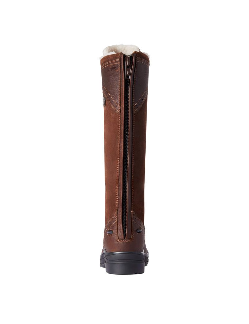 Bottes D'équitation Ariat Wythburn Alti Imperméables Marron Foncé | 307182TBL