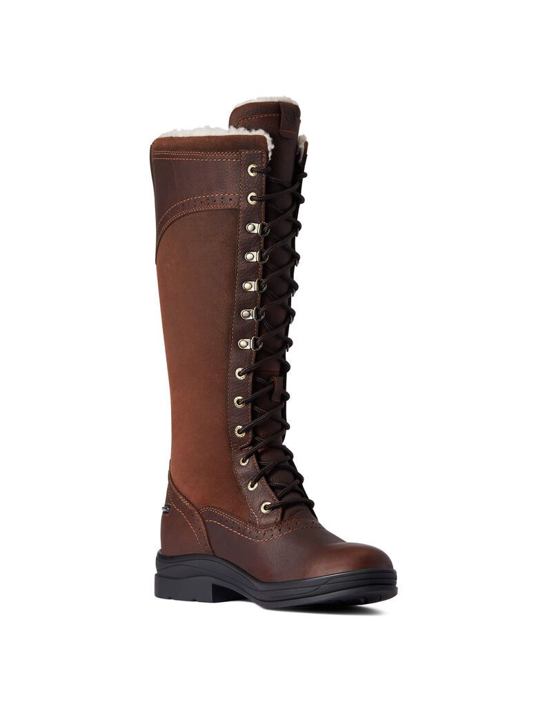 Bottes D'équitation Ariat Wythburn Alti Imperméables Marron Foncé | 307182TBL