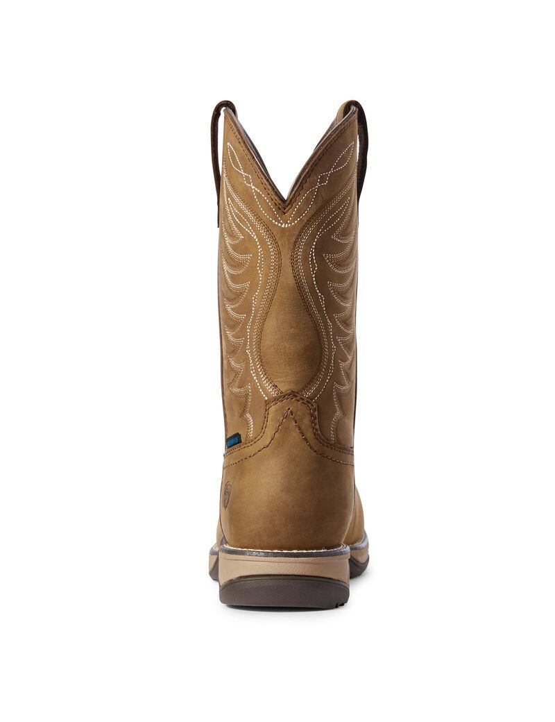 Bottes Imperméables Ariat Anthem Composite Embout Travail Marron | 106497YOX