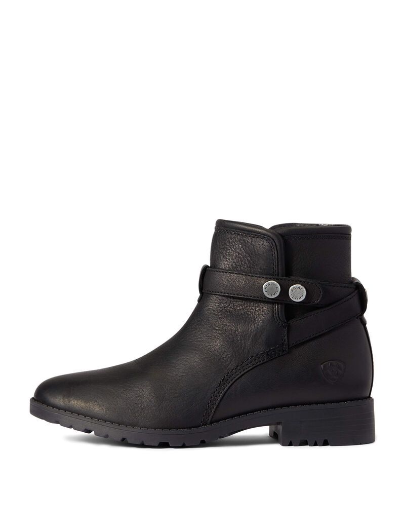 Bottes Imperméables Ariat Charlie Imperméables Noir | 263904SGE