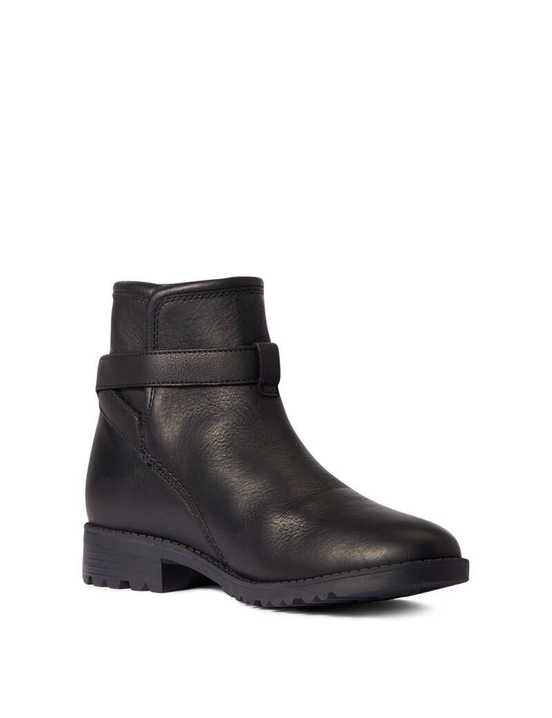 Bottes Imperméables Ariat Charlie Imperméables Noir | 263904SGE