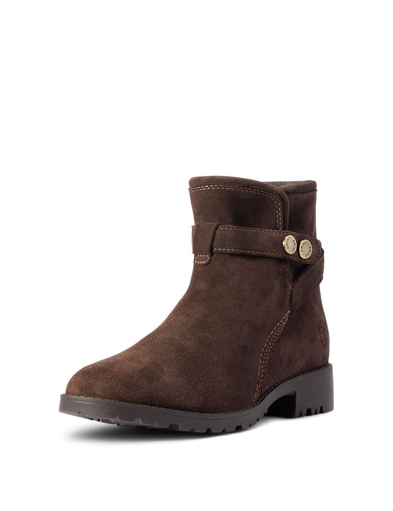 Bottes Imperméables Ariat Charlie Imperméables Chocolat | 740325UAD