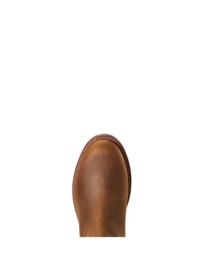 Bottes Imperméables Ariat Wexford Imperméables Marron | 360759ZQG