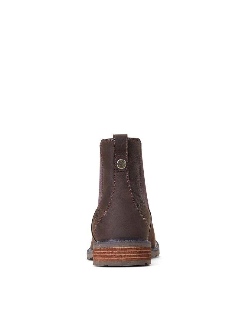 Bottes Imperméables Ariat Wexford Imperméables Multicolore | 496285EKB