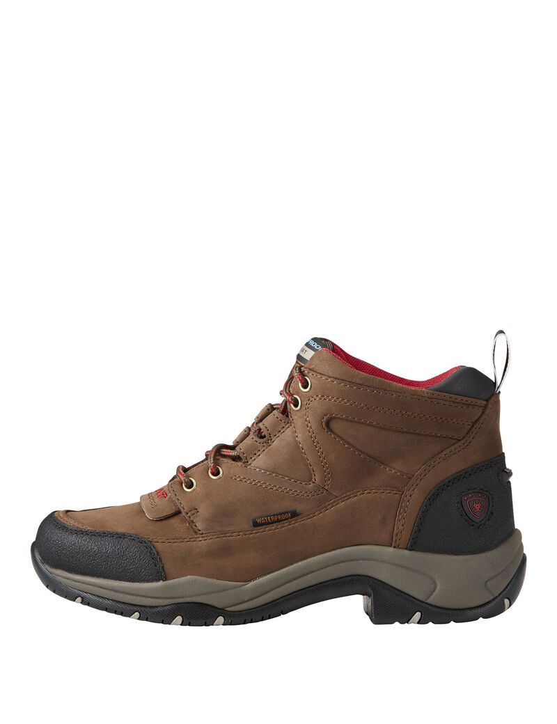 Bottes Randonnée Ariat Terrain Imperméables Marron | 329571JKG