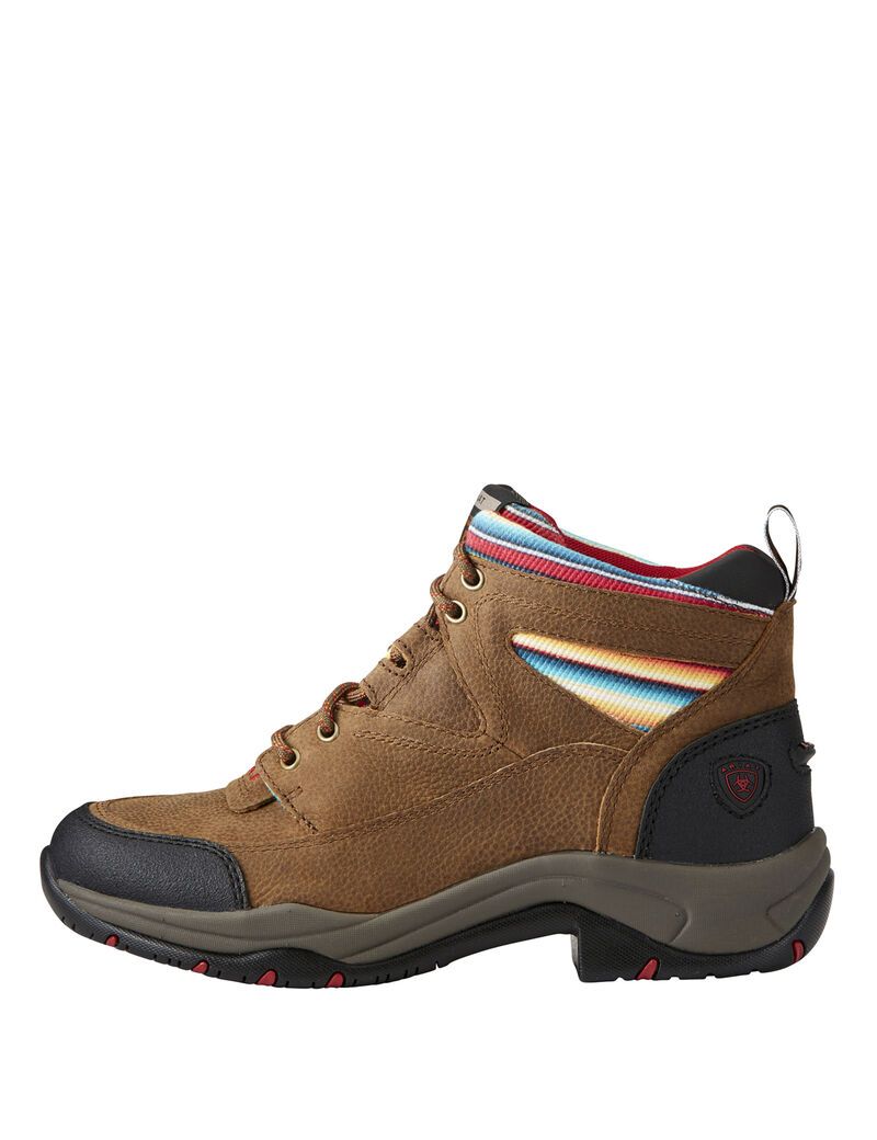 Bottes Randonnée Ariat Terrain Multicolore | 459306YLO