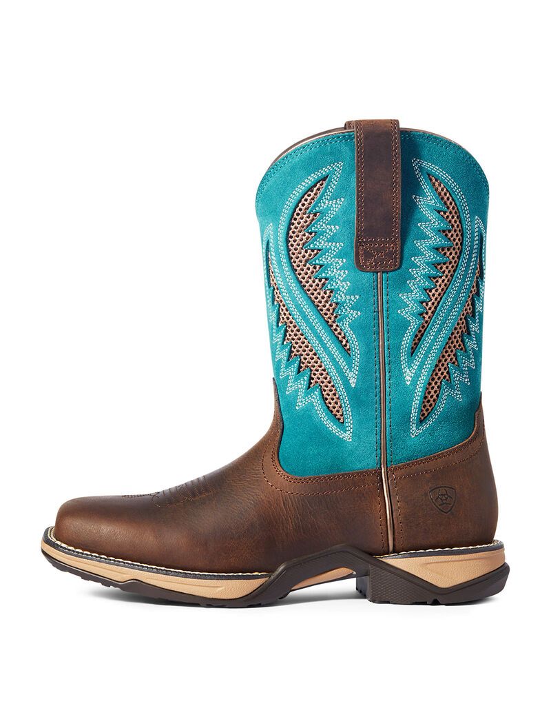 Bottes Western Ariat Anthem Venttek Chocolat | 341082YCX