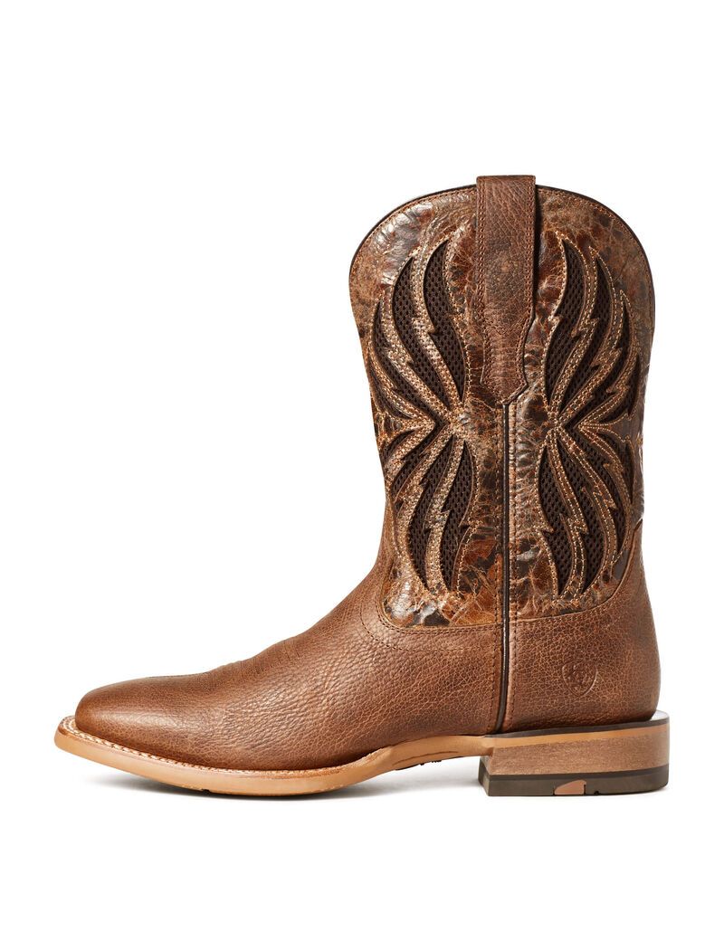 Bottes Western Ariat Arena Record Venttek Multicolore | 267453BYI