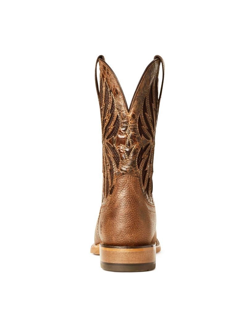 Bottes Western Ariat Arena Record Venttek Multicolore | 267453BYI