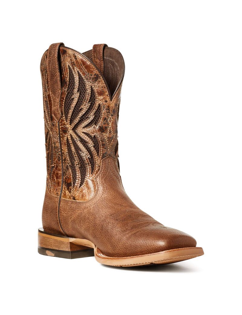 Bottes Western Ariat Arena Record Venttek Multicolore | 267453BYI