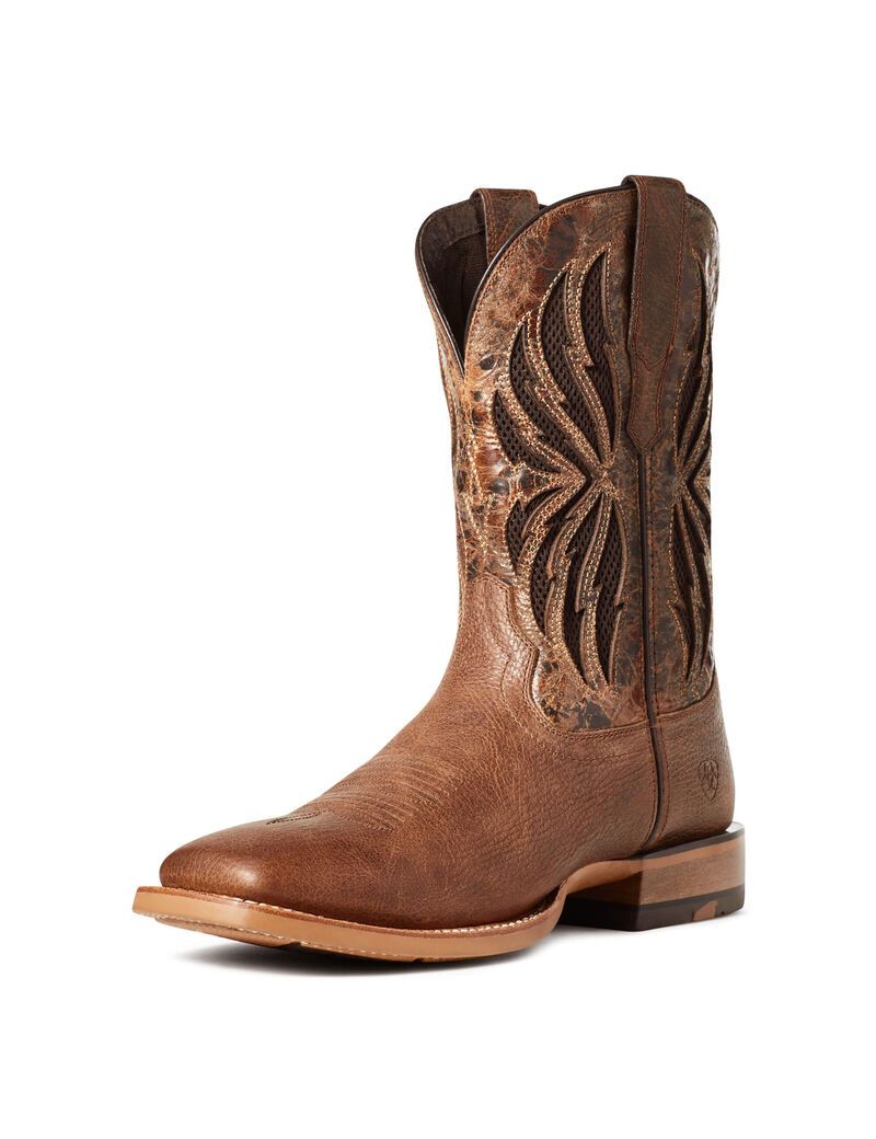 Bottes Western Ariat Arena Record Venttek Multicolore | 267453BYI