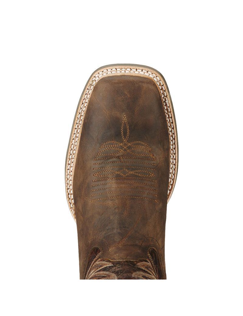 Bottes Western Ariat Challenger Marron | 730415YWO