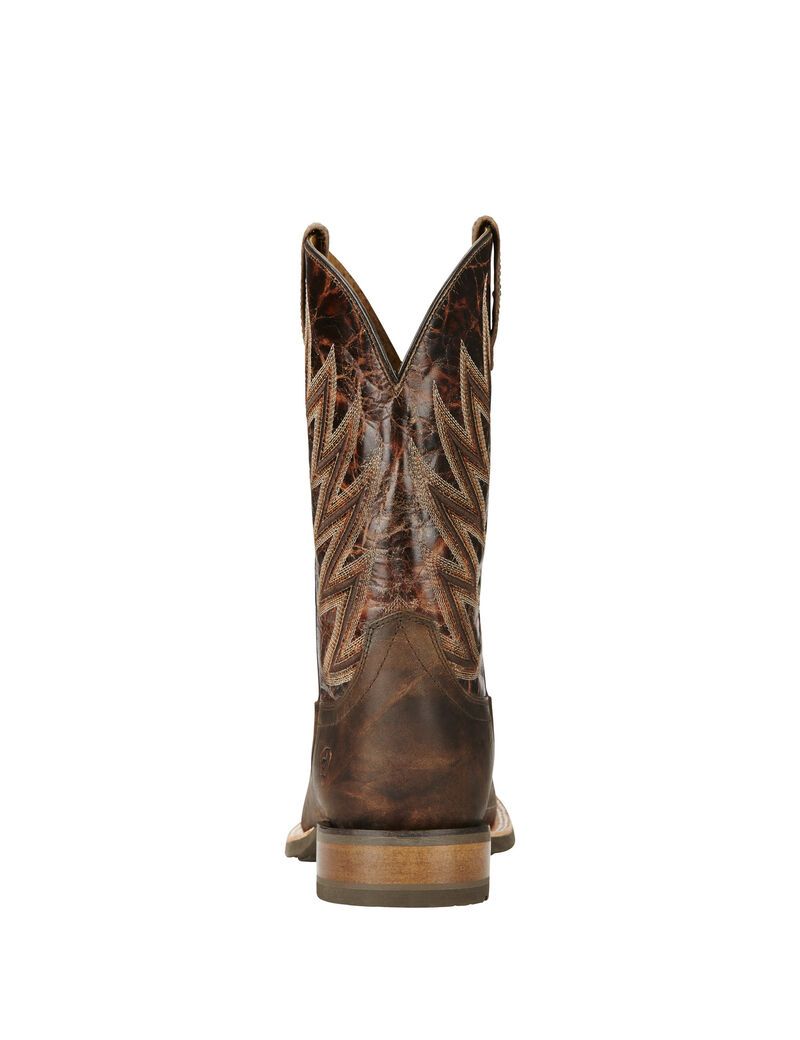 Bottes Western Ariat Challenger Marron | 730415YWO