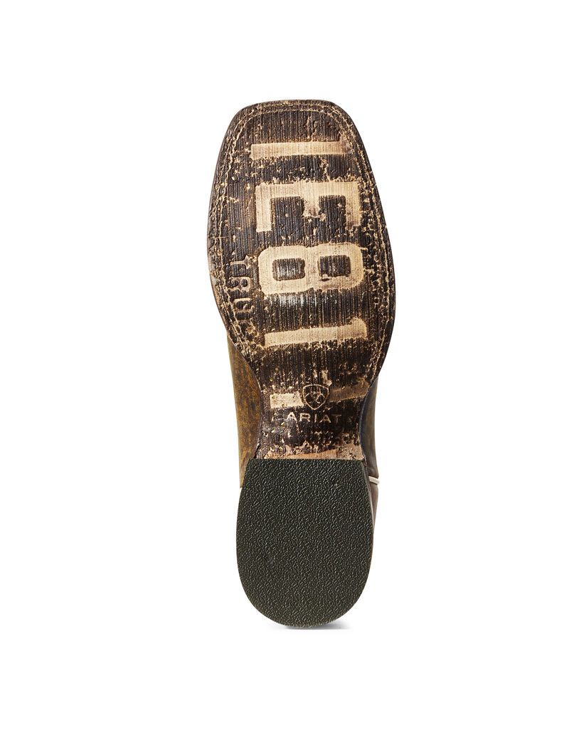 Bottes Western Ariat Circuit Champ Multicolore | 028971OXP