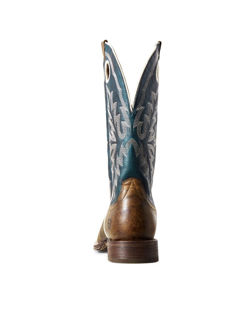 Bottes Western Ariat Circuit Champ Multicolore | 028971OXP