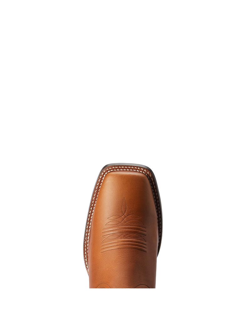 Bottes Western Ariat Circuit Fargo Multicolore | 503671CDI