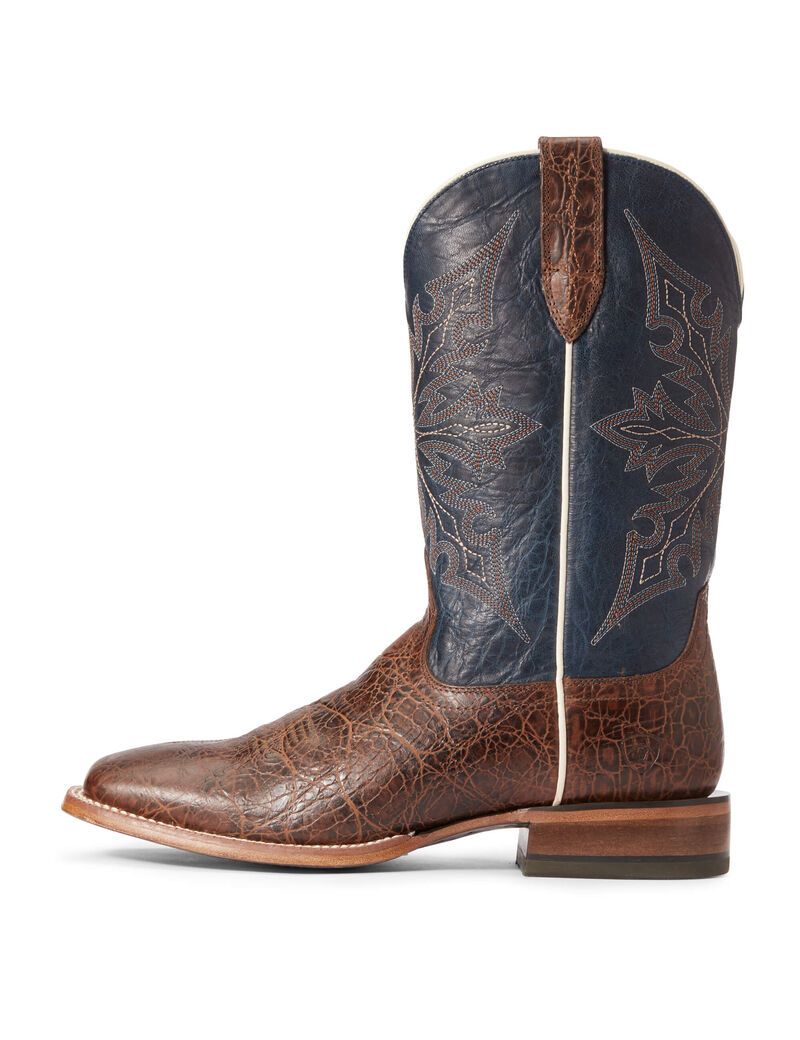 Bottes Western Ariat Circuit Gritty Multicolore | 740985TKO