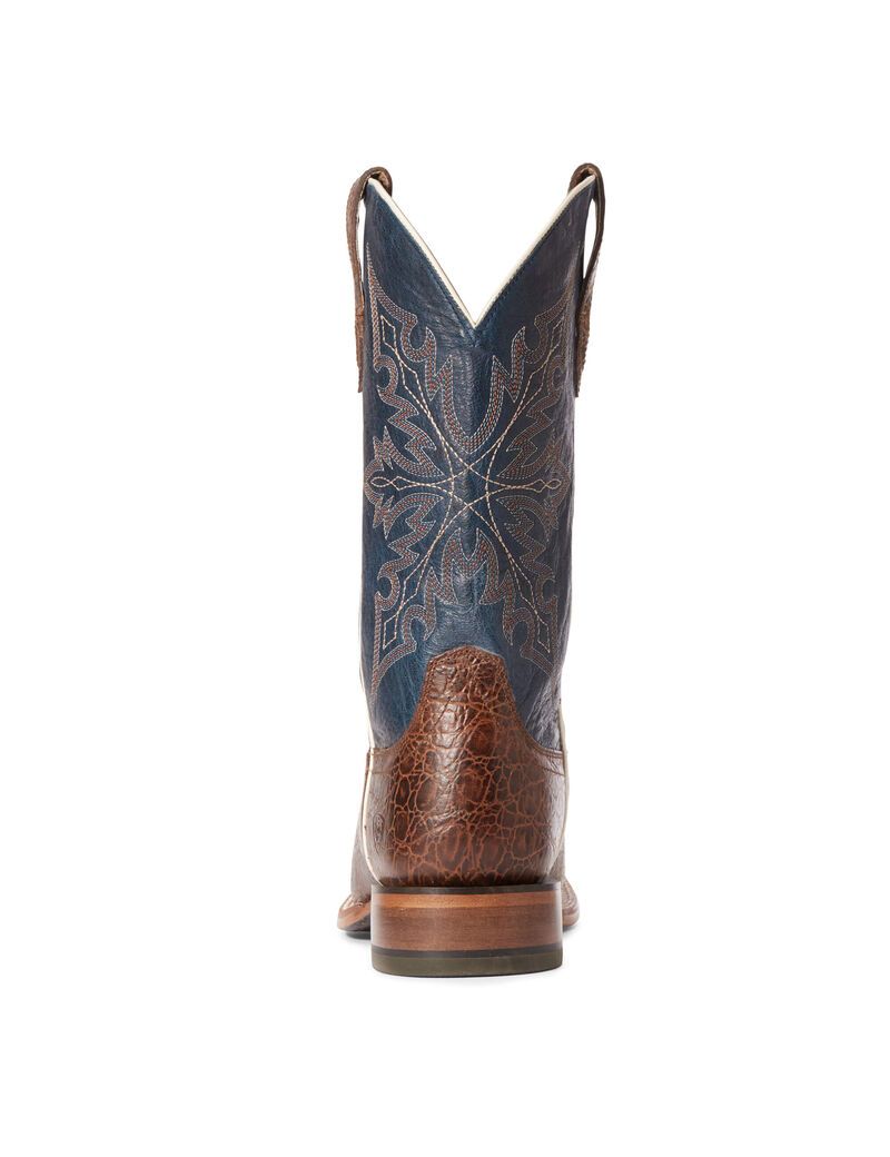 Bottes Western Ariat Circuit Gritty Multicolore | 740985TKO