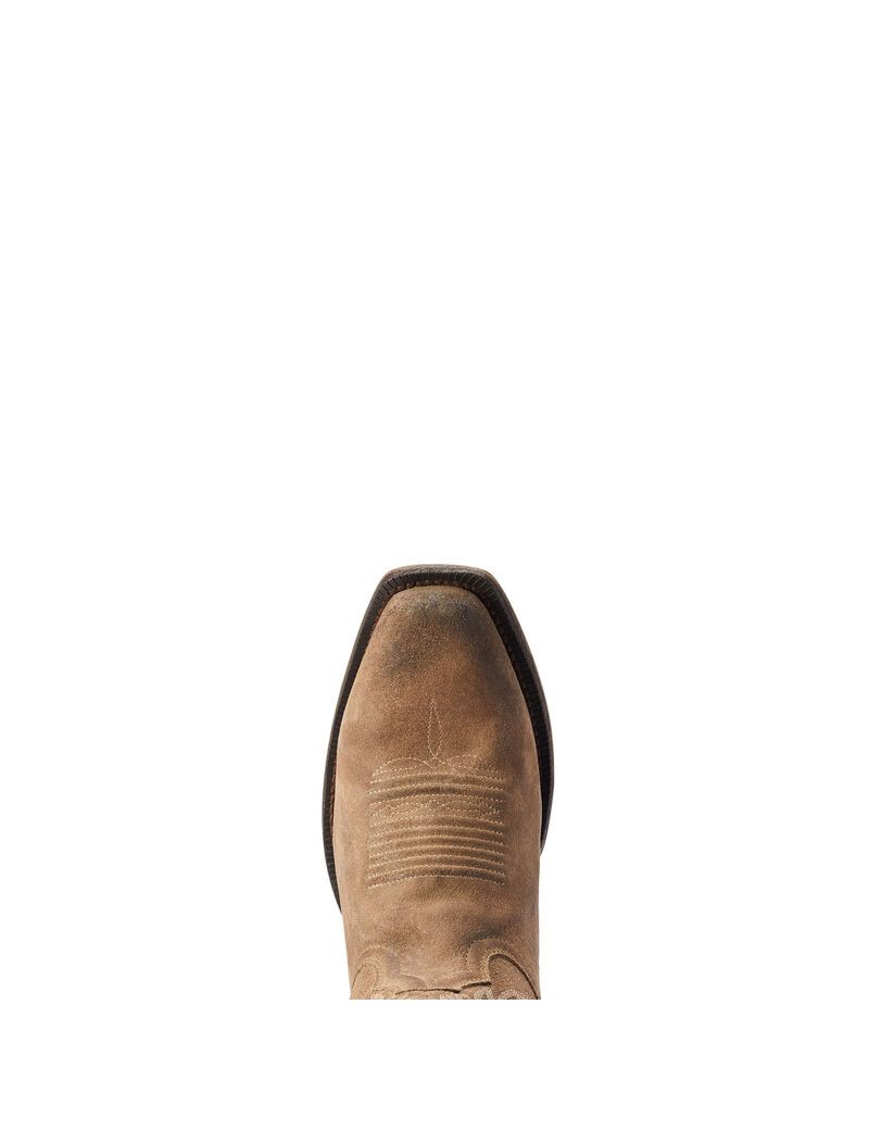 Bottes Western Ariat Circuit High Stepper Grise | 791846DYI