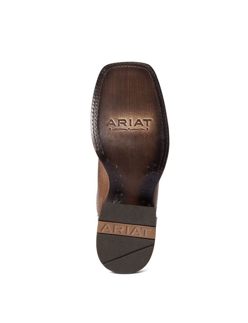 Bottes Western Ariat Circuit Patriot Marron | 964178LQK