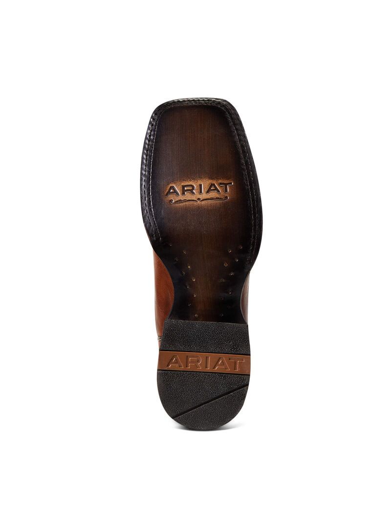 Bottes Western Ariat Circuit Patriot Multicolore | 453186FGM