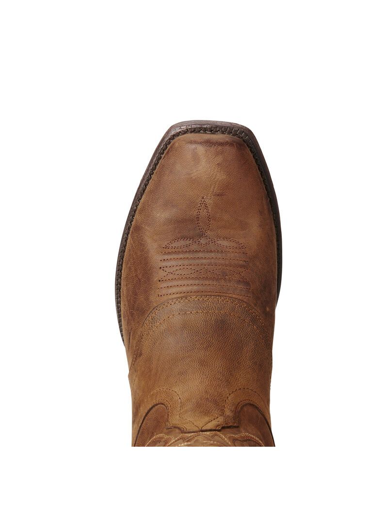 Bottes Western Ariat Circuit Striker Marron | 647918UQM