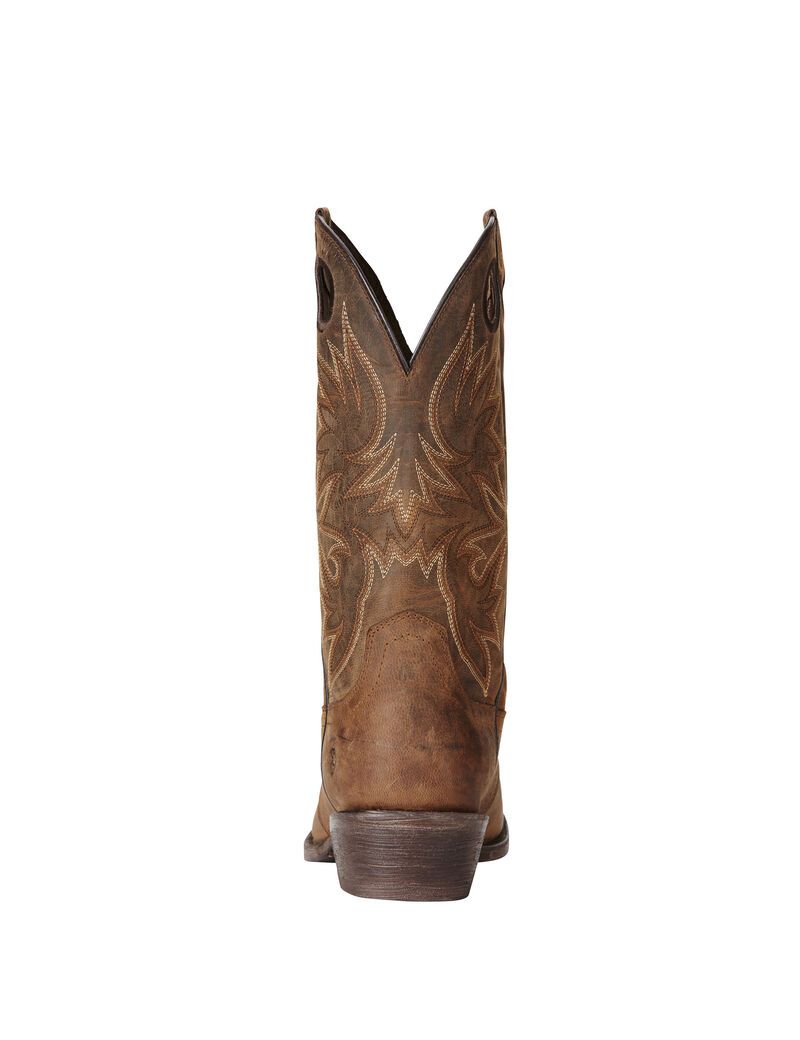 Bottes Western Ariat Circuit Striker Marron | 647918UQM