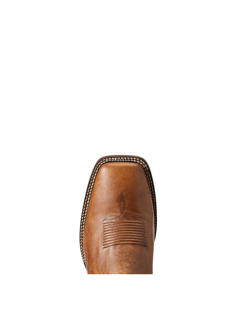 Bottes Western Ariat Circuit Wagner Marron | 316854GVK