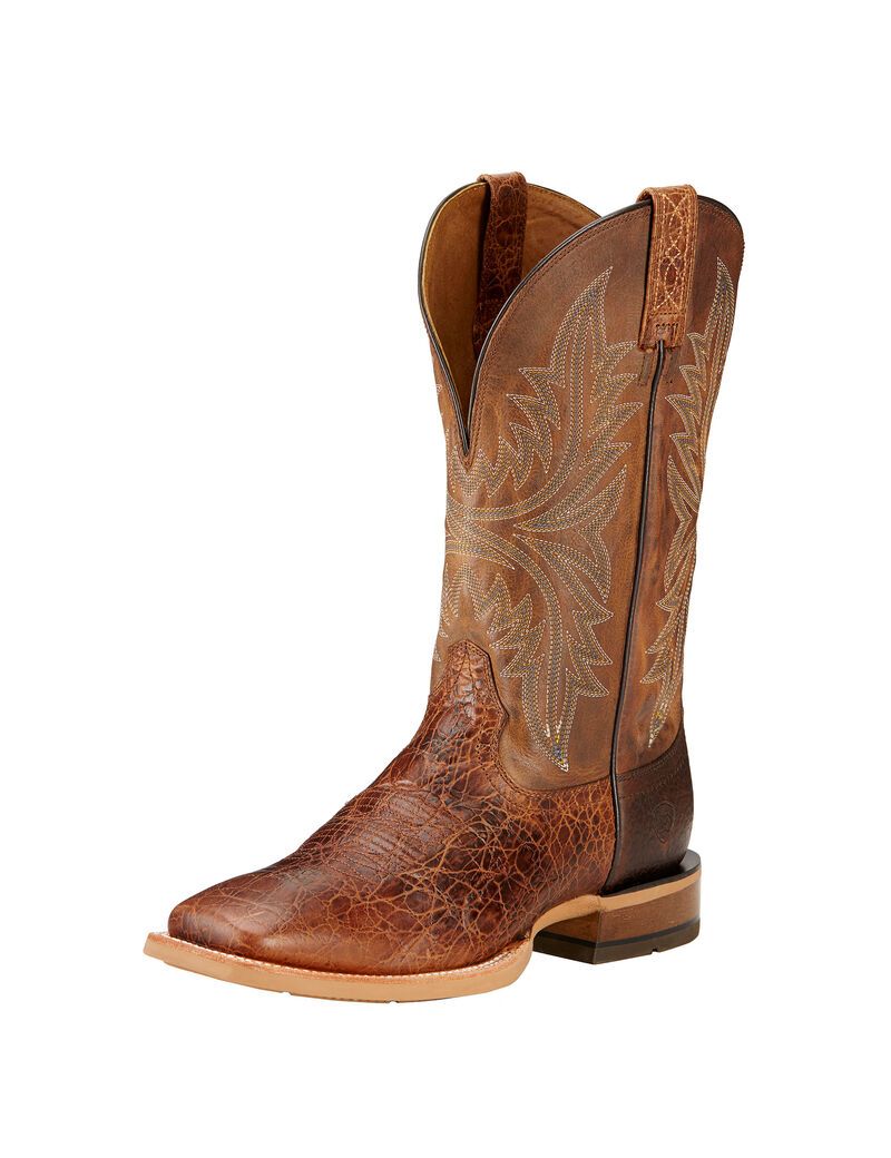 Bottes Western Ariat Cowhand Multicolore | 180246LEB