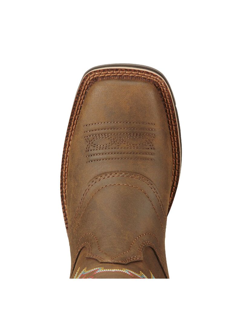 Bottes Western Ariat Delilah Marron | 394205FJK