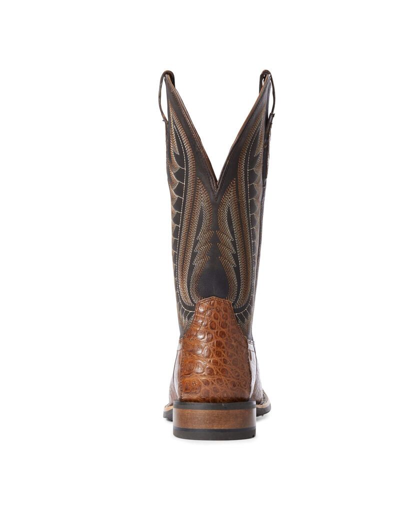 Bottes Western Ariat Double Down Multicolore | 524069IRT