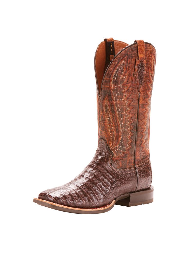 Bottes Western Ariat Double Down Multicolore | 954816VZG