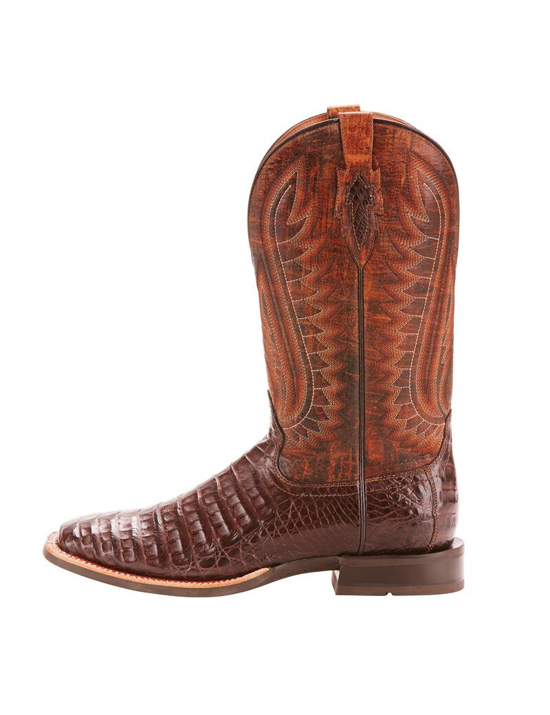 Bottes Western Ariat Double Down Multicolore | 954816VZG