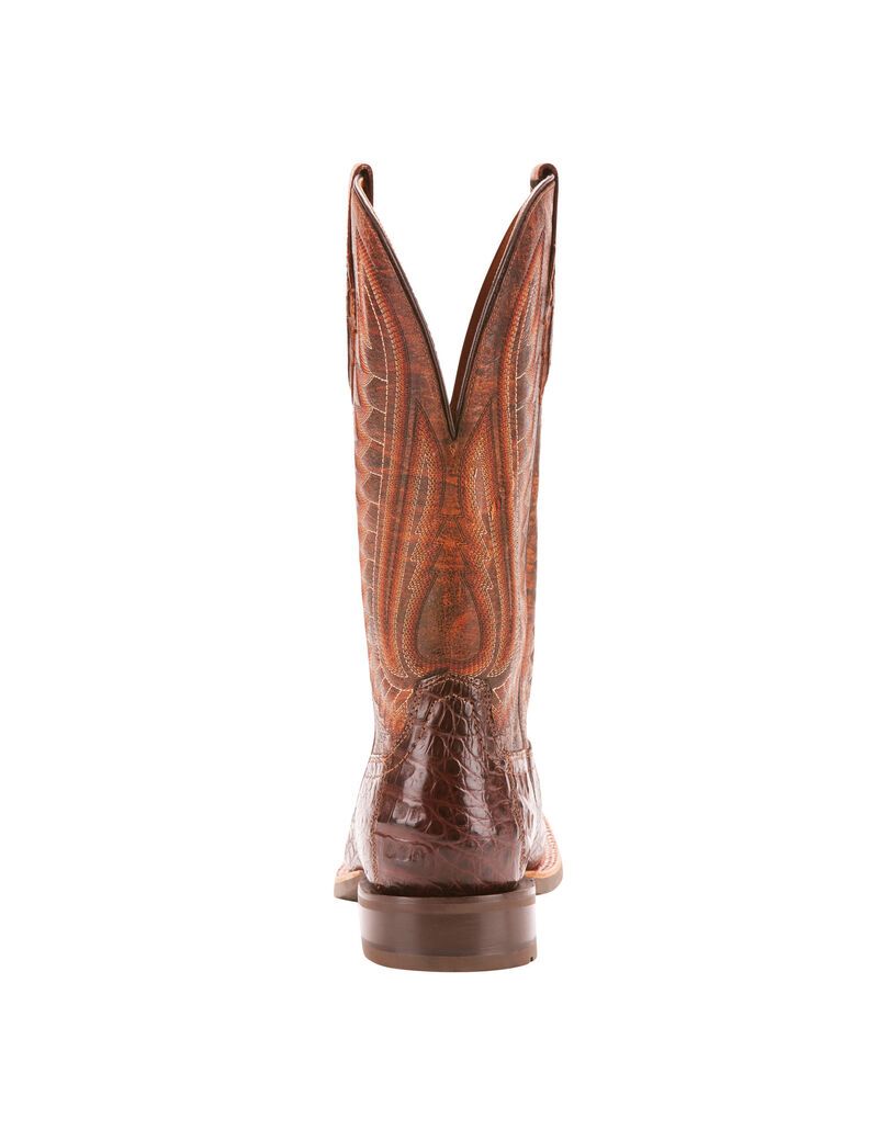 Bottes Western Ariat Double Down Multicolore | 954816VZG