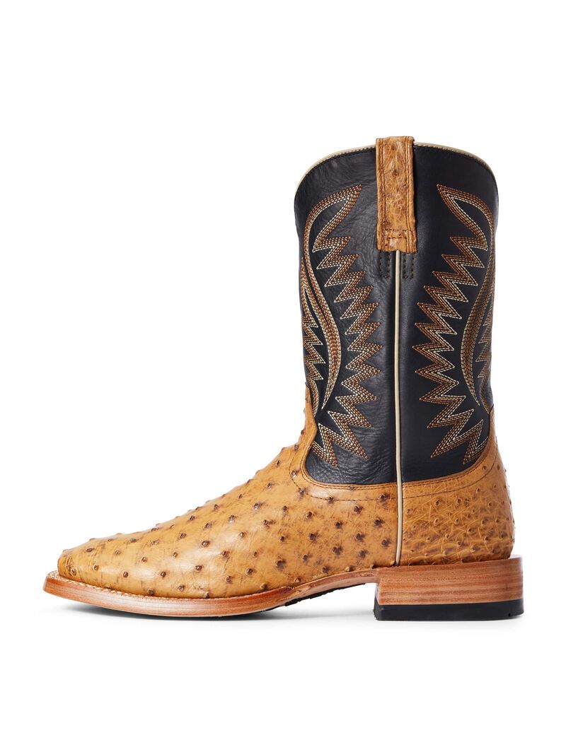 Bottes Western Ariat Gallup Marron | 681250EWC