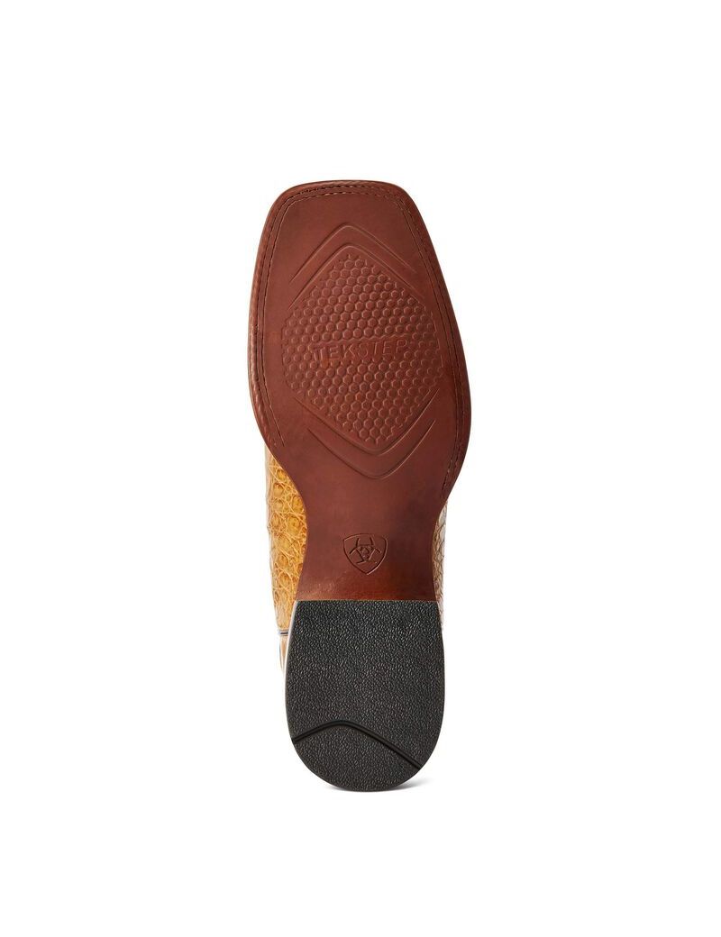 Bottes Western Ariat Gunslinger Multicolore | 371586NVQ