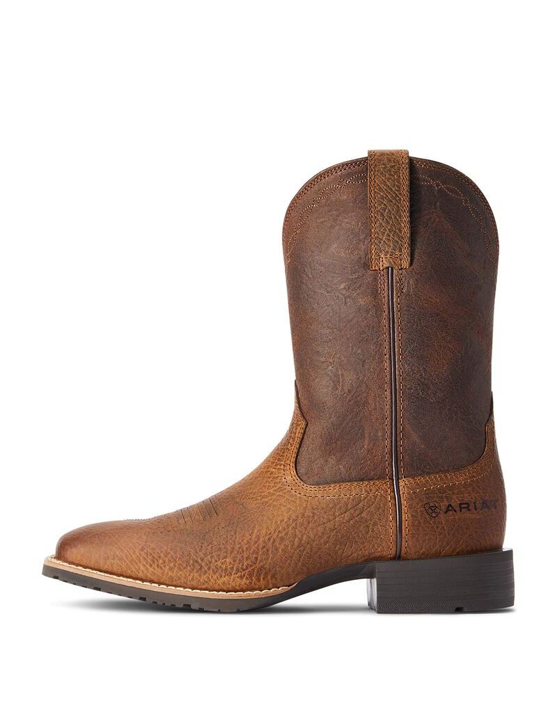 Bottes Western Ariat Hybride Grit Multicolore | 851943JDZ